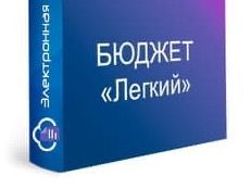 Отчетность Бюджет: Тариф Легкий